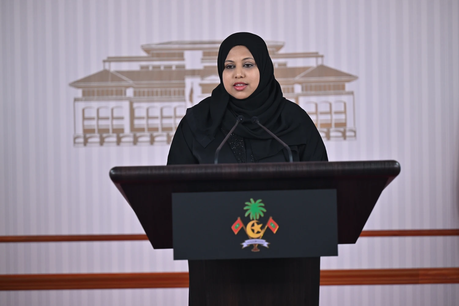 ފަންނާއި ސަގާފަތާއި ތަރިކައާ ބެހޭ ވަޒީރު ފުރަތަމަ ފަހަރަށް ނޫސްވެރިންނާ ބައްދަލުކުރައްވައިފި